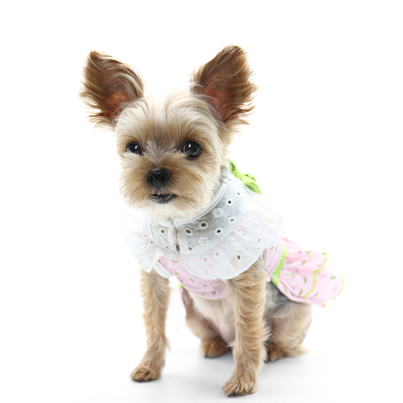 {{product_title}} - Cookies Wagging Friends Boutique