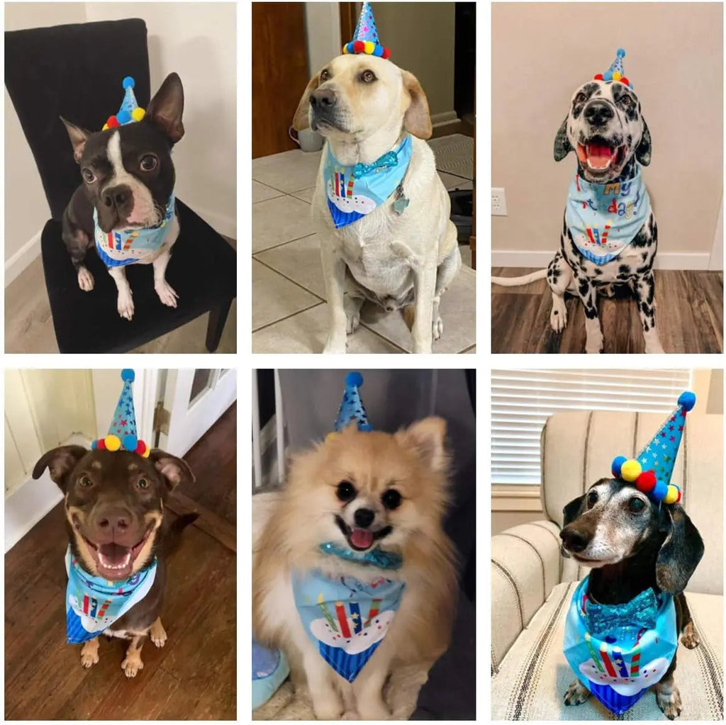 {{product_title}} - Cookies Wagging Friends Boutique