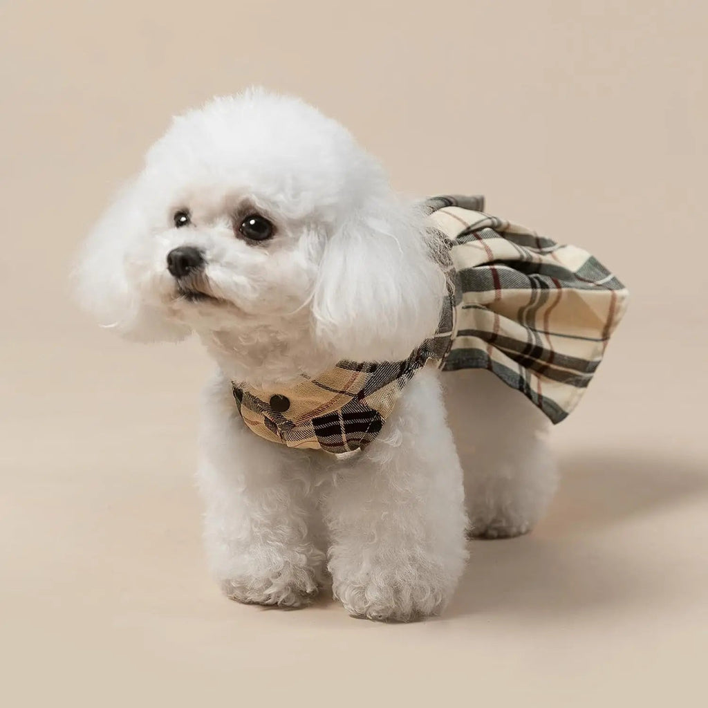 {{product_title}} - Cookies Wagging Friends Boutique