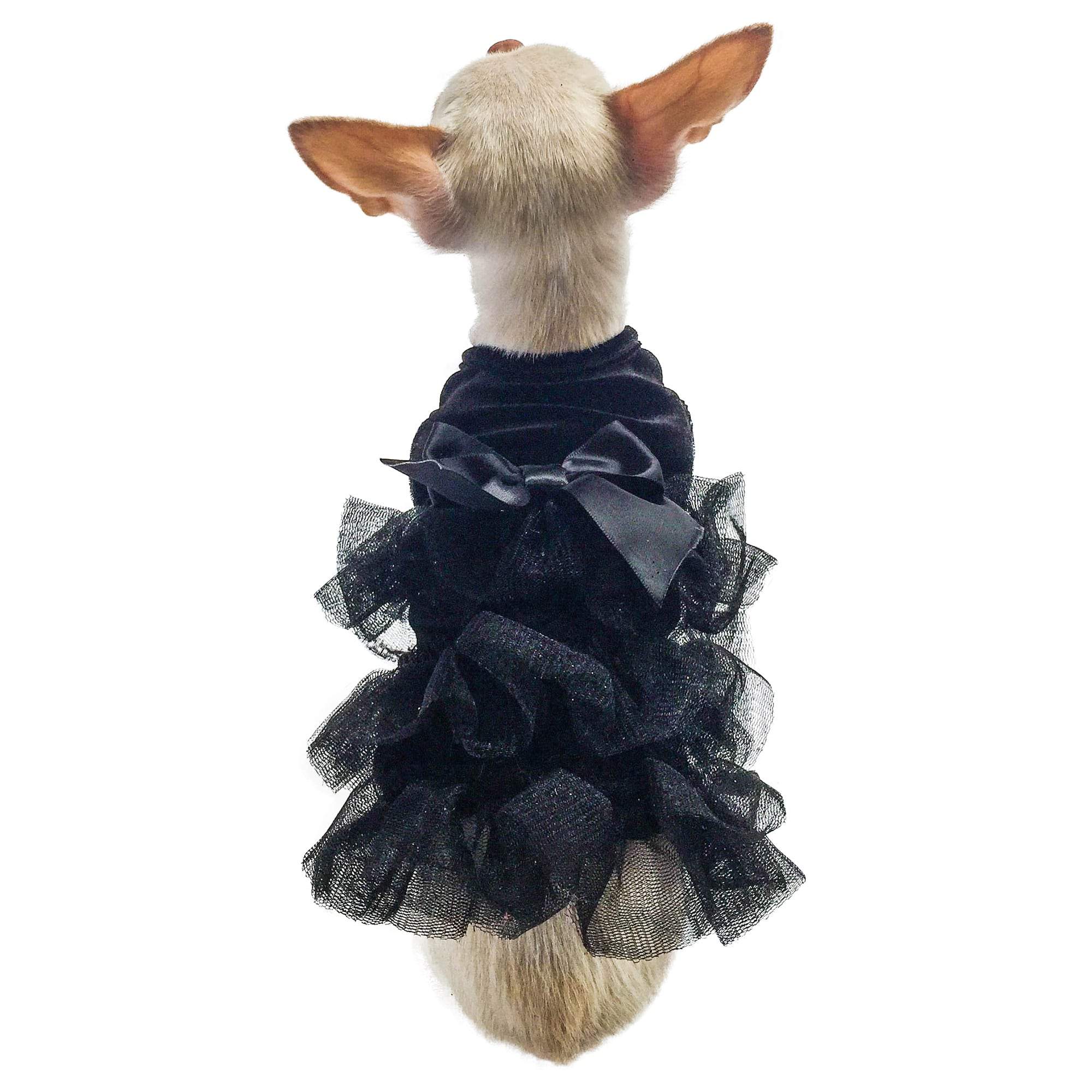 {{product_title}} - Cookies Wagging Friends Boutique