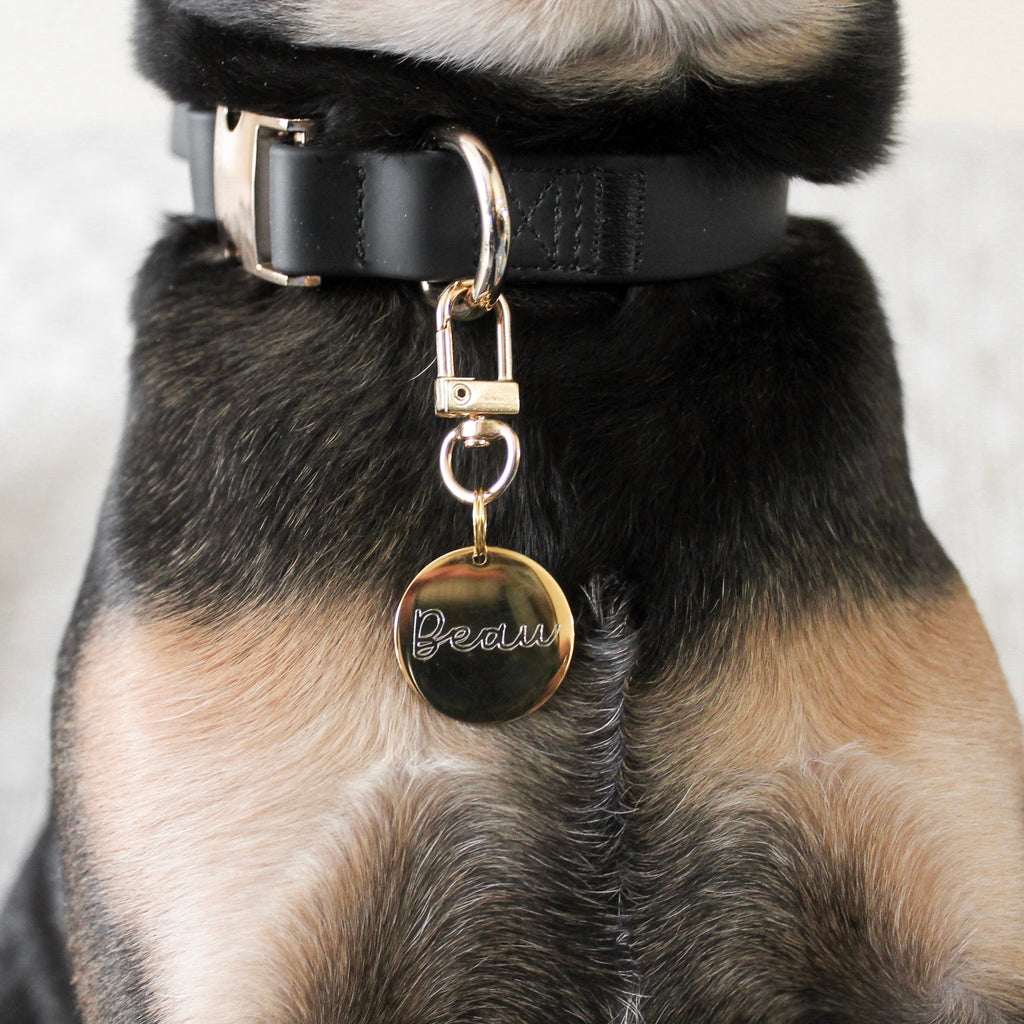 {{product_title}} - Cookies Wagging Friends Boutique