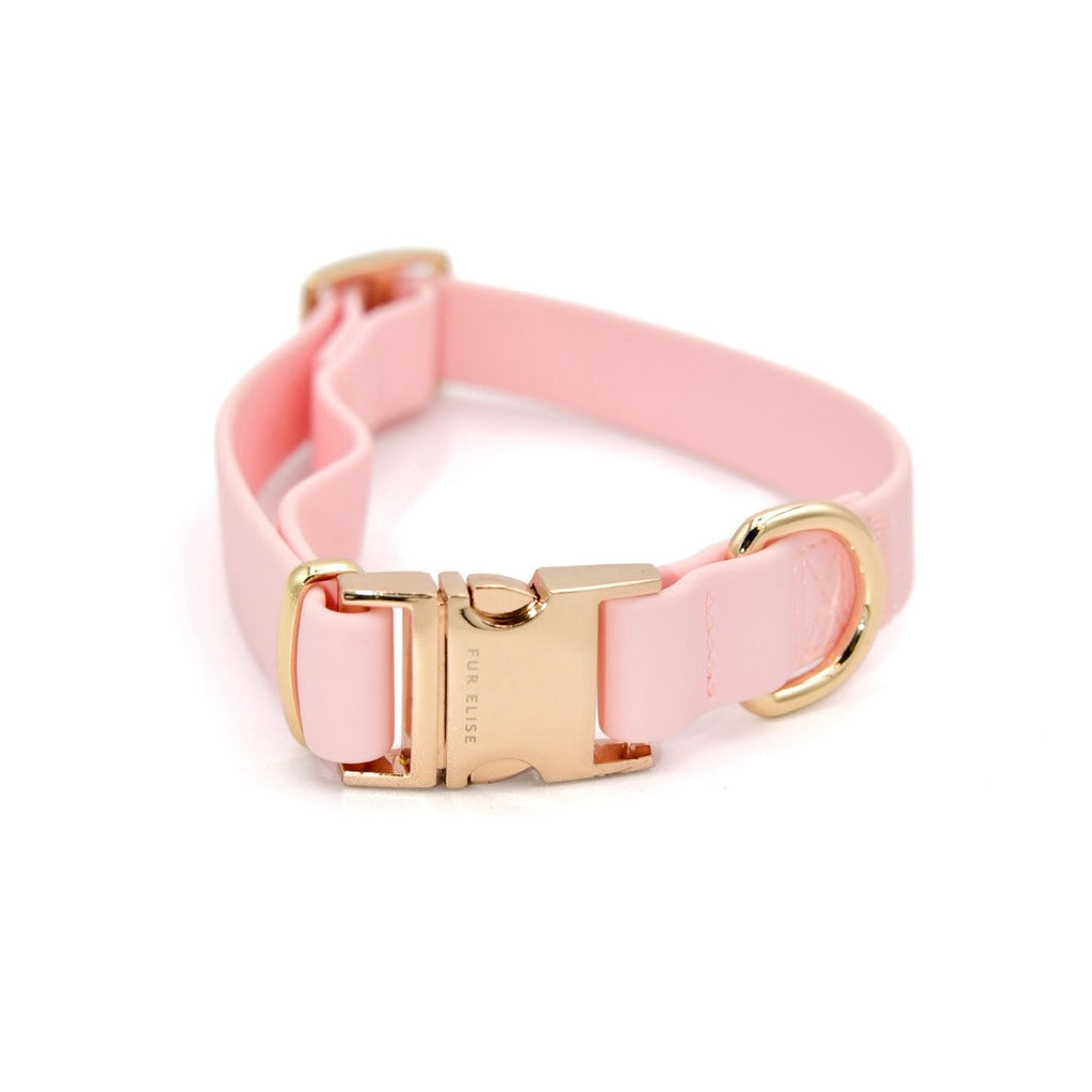{{product_title}} - Cookies Wagging Friends Boutique