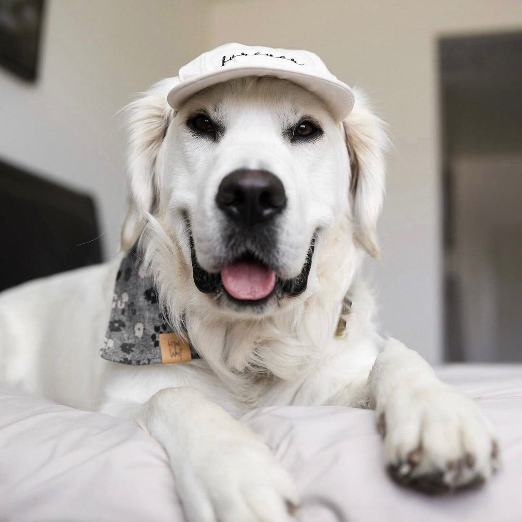 Furever Pet Hat