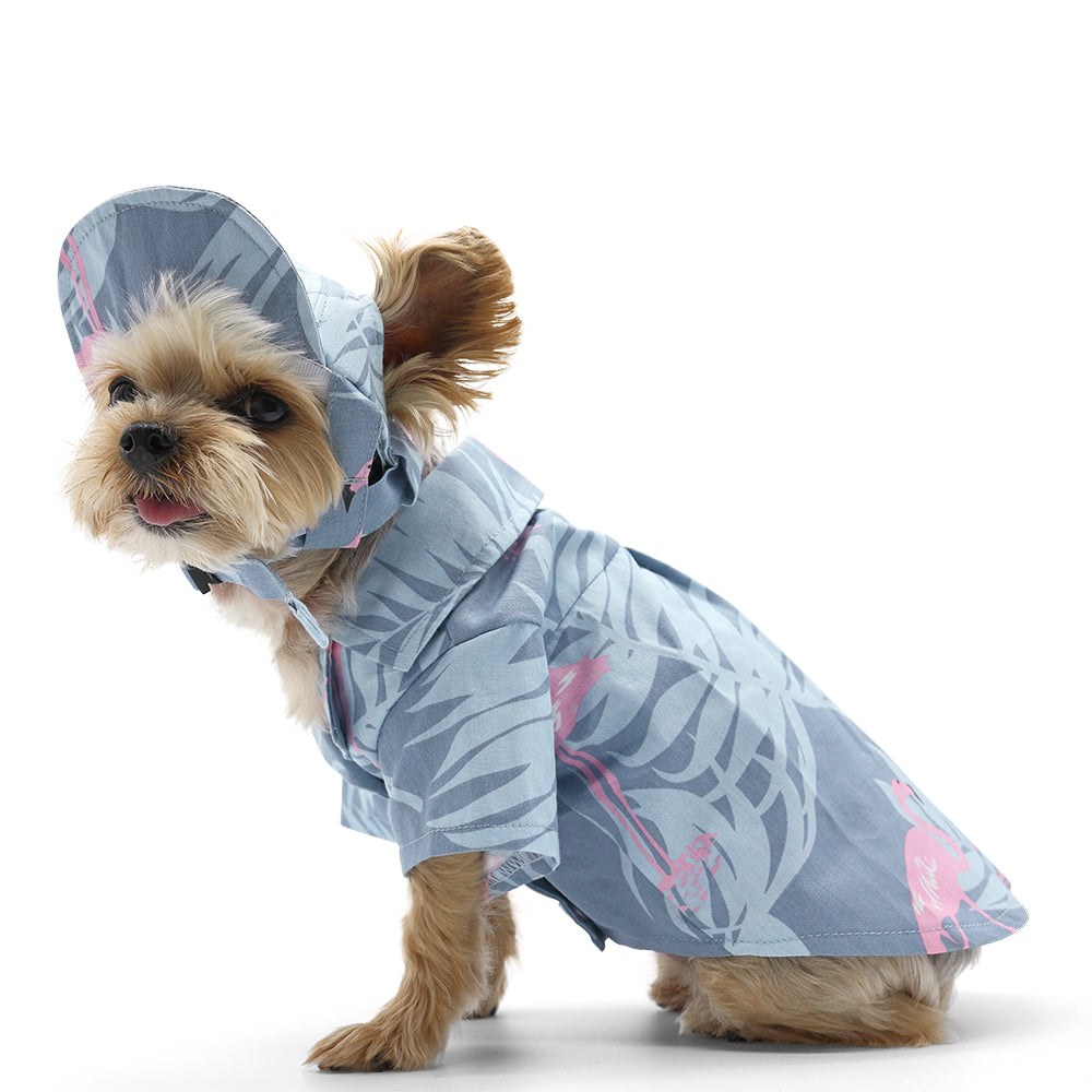{{product_title}} - Cookies Wagging Friends Boutique