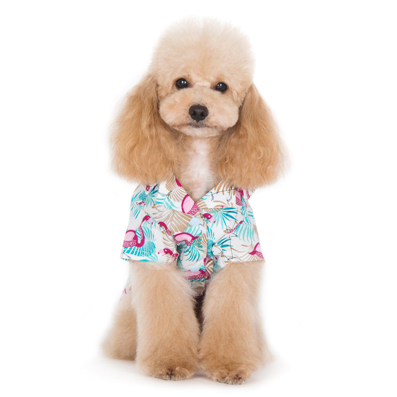 {{product_title}} - Cookies Wagging Friends Boutique
