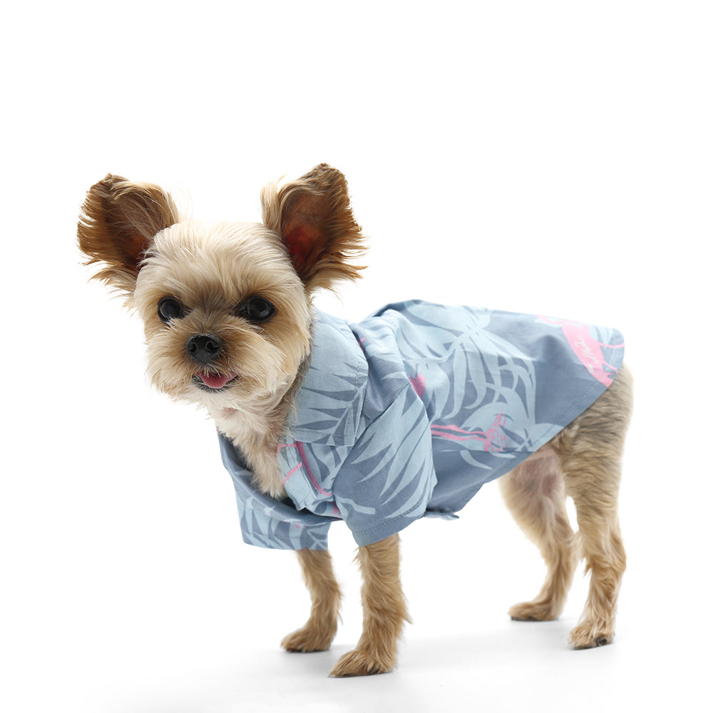 {{product_title}} - Cookies Wagging Friends Boutique