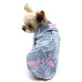 {{product_title}} - Cookies Wagging Friends Boutique