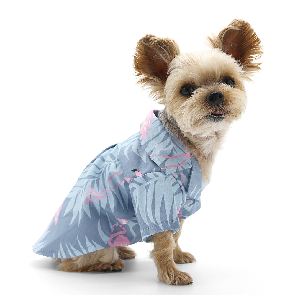 {{product_title}} - Cookies Wagging Friends Boutique