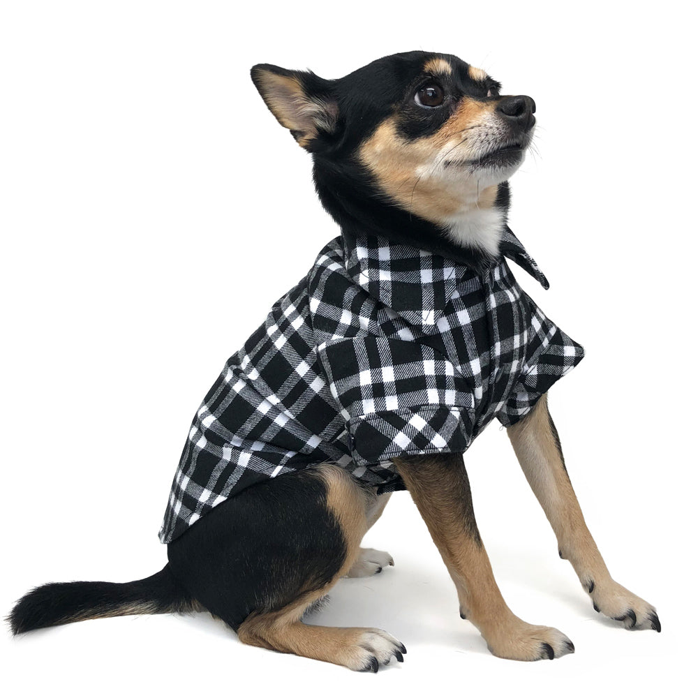 {{product_title}} - Cookies Wagging Friends Boutique