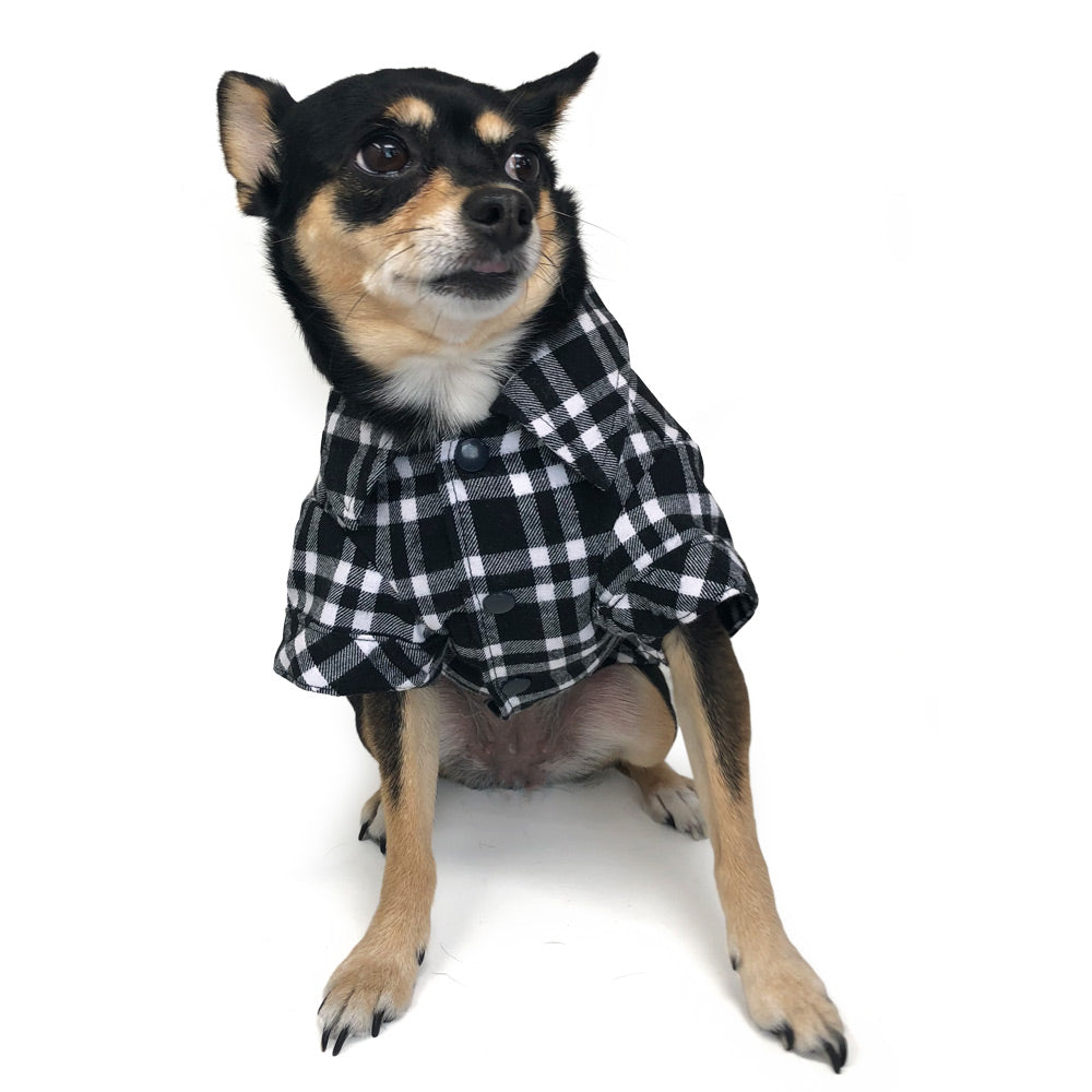 {{product_title}} - Cookies Wagging Friends Boutique