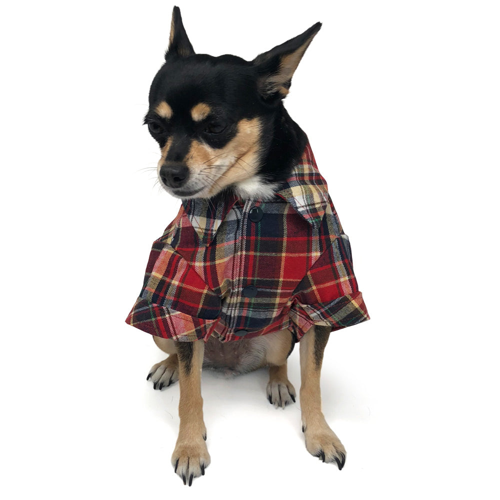 {{product_title}} - Cookies Wagging Friends Boutique
