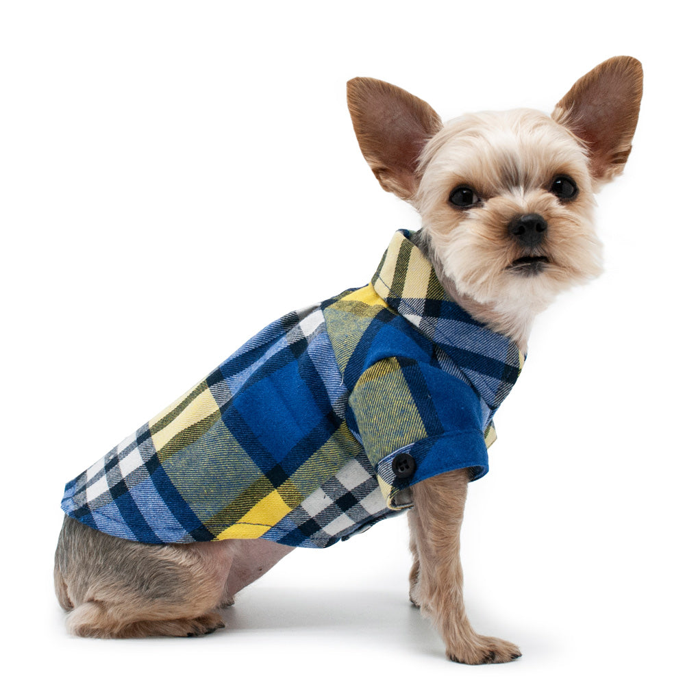 {{product_title}} - Cookies Wagging Friends Boutique