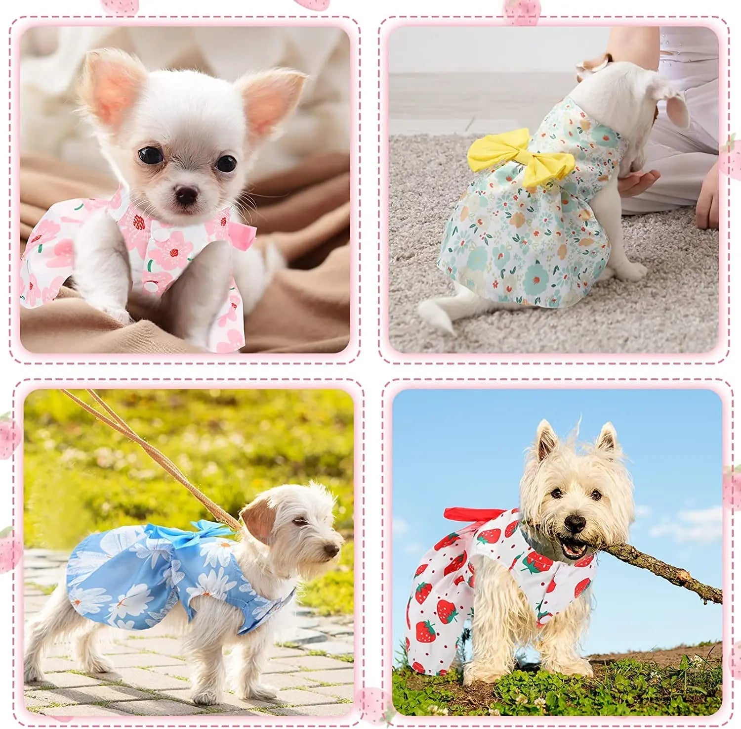 {{product_title}} - Cookies Wagging Friends Boutique