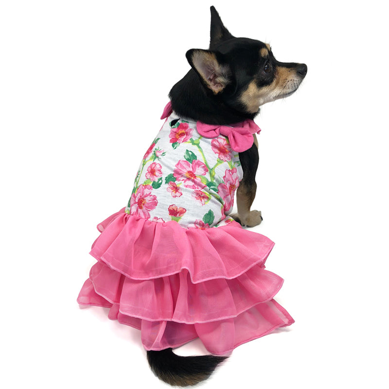 {{product_title}} - Cookies Wagging Friends Boutique