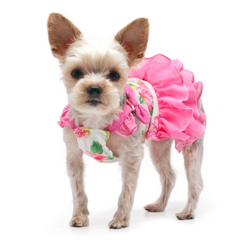 {{product_title}} - Cookies Wagging Friends Boutique
