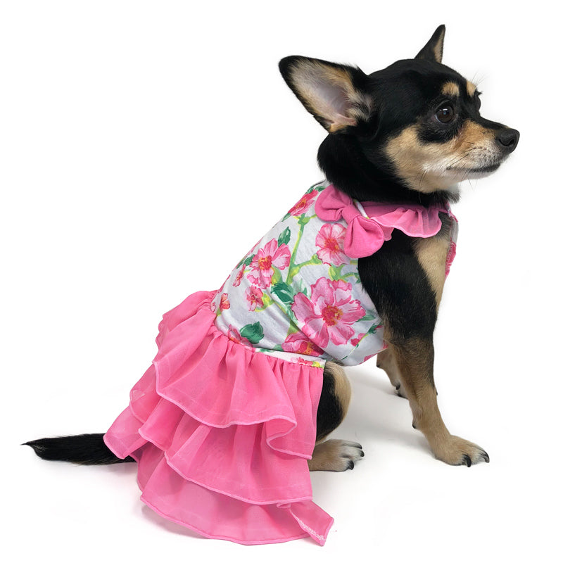 {{product_title}} - Cookies Wagging Friends Boutique