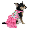 {{product_title}} - Cookies Wagging Friends Boutique