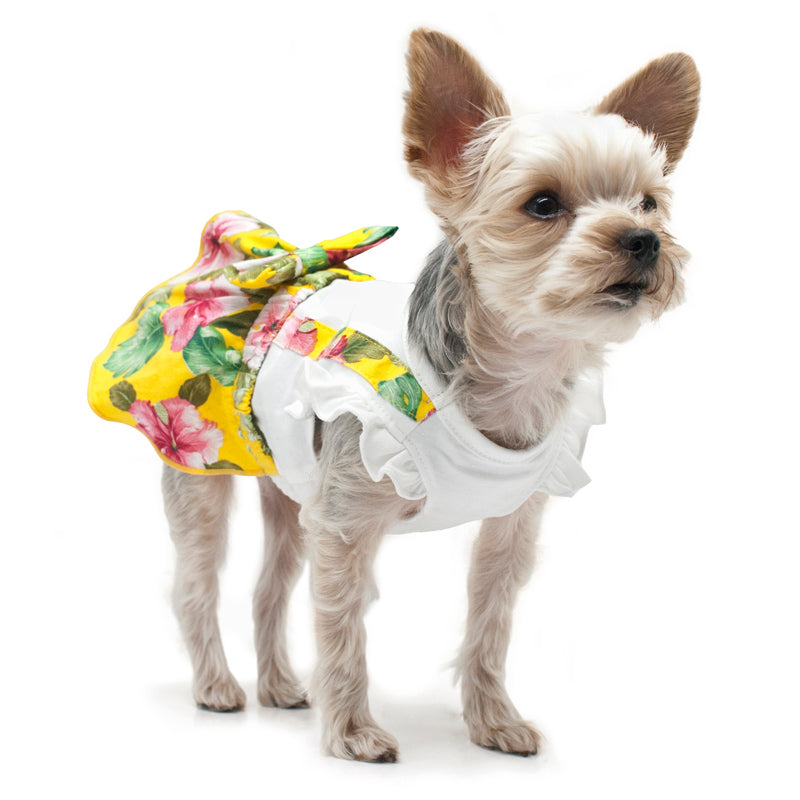 {{product_title}} - Cookies Wagging Friends Boutique