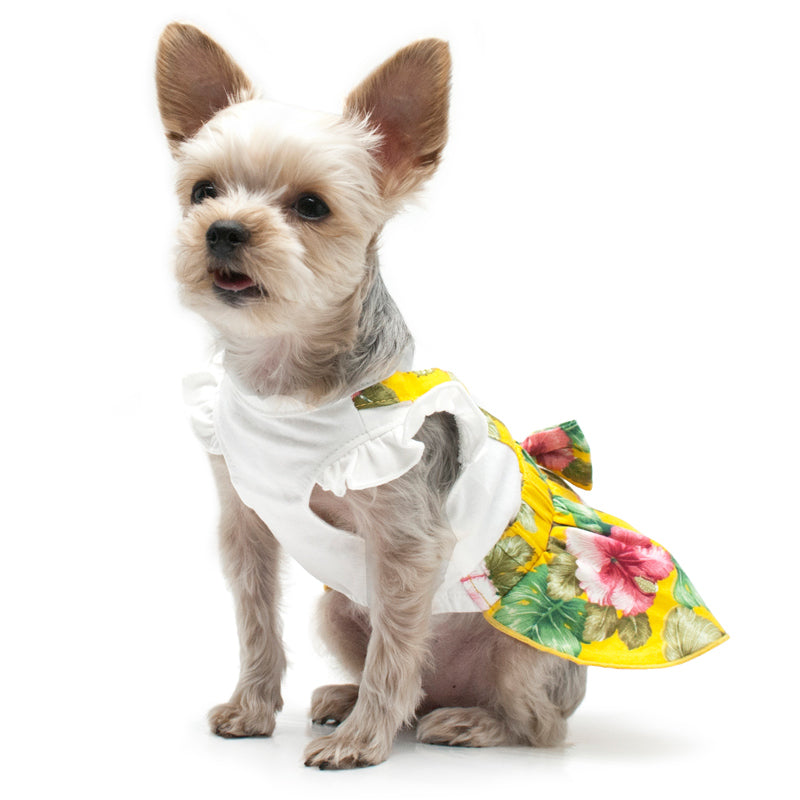 {{product_title}} - Cookies Wagging Friends Boutique