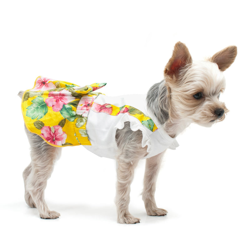 {{product_title}} - Cookies Wagging Friends Boutique