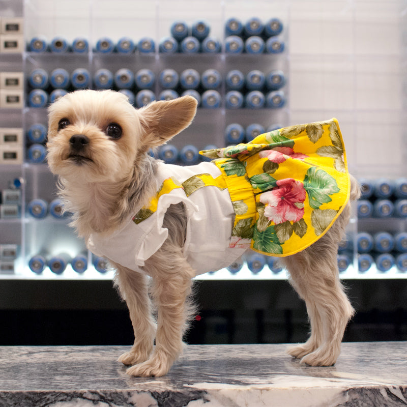 {{product_title}} - Cookies Wagging Friends Boutique