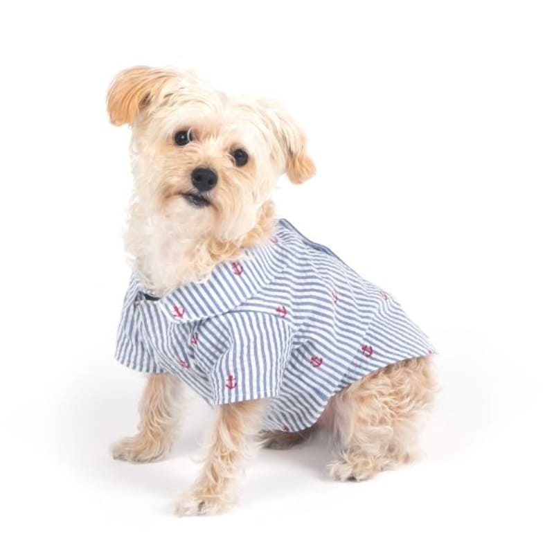 {{product_title}} - Cookies Wagging Friends Boutique