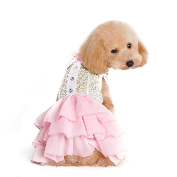 {{product_title}} - Cookies Wagging Friends Boutique