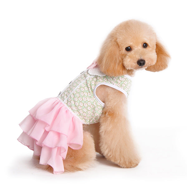 {{product_title}} - Cookies Wagging Friends Boutique