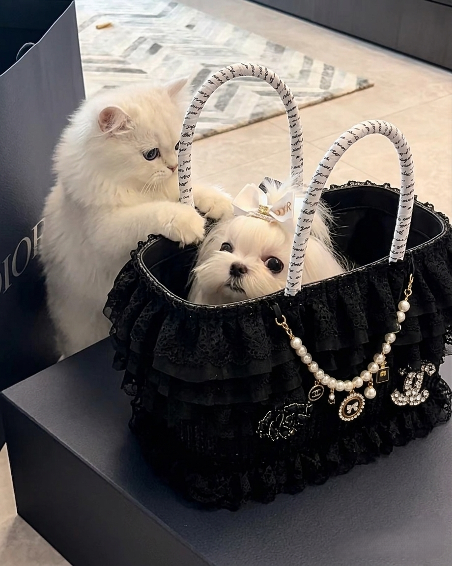 Luxury Black Lace Dog Carrier Bag with Pearl Charm – Elegant Small Dog Tote Bag with Safety Leash