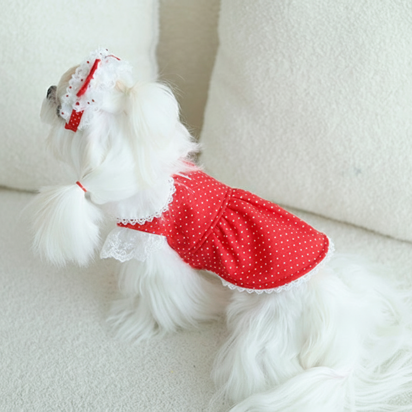 {{product_title}} - Cookies Wagging Friends Boutique