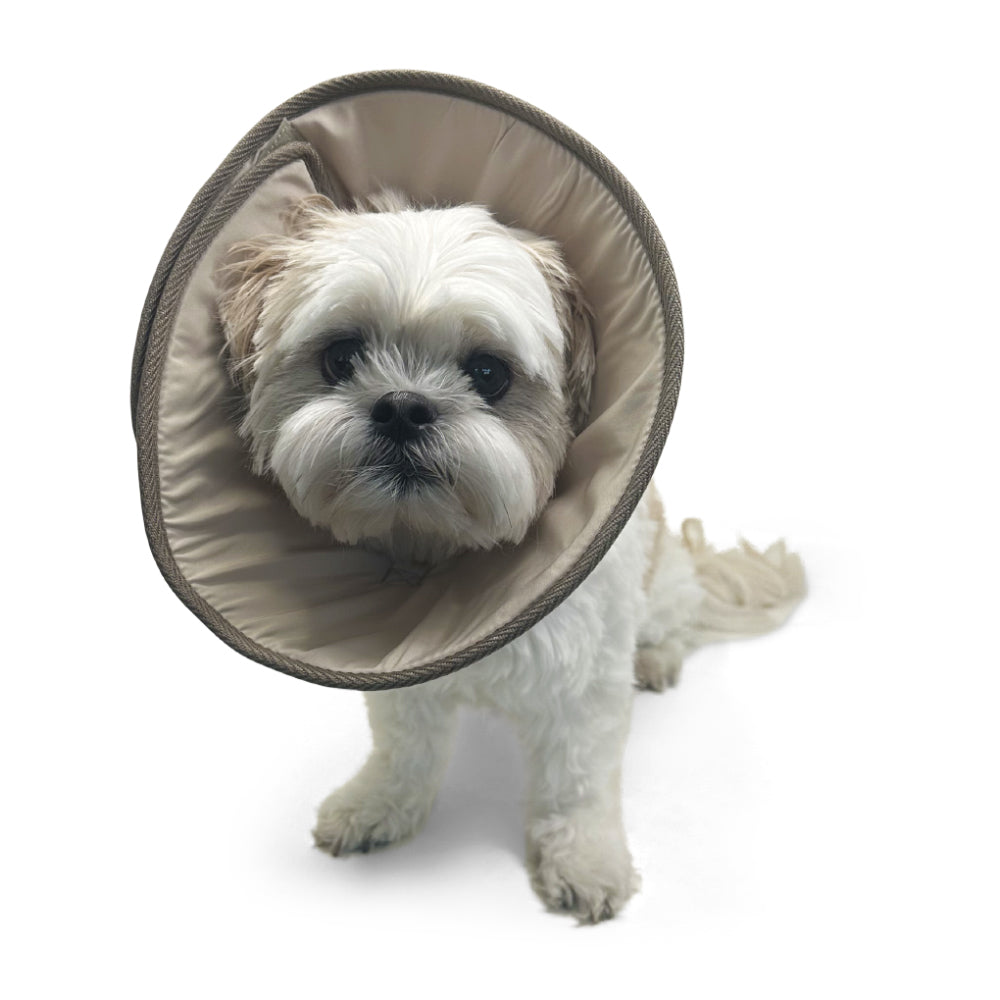 Get Better Recovery E-Collar