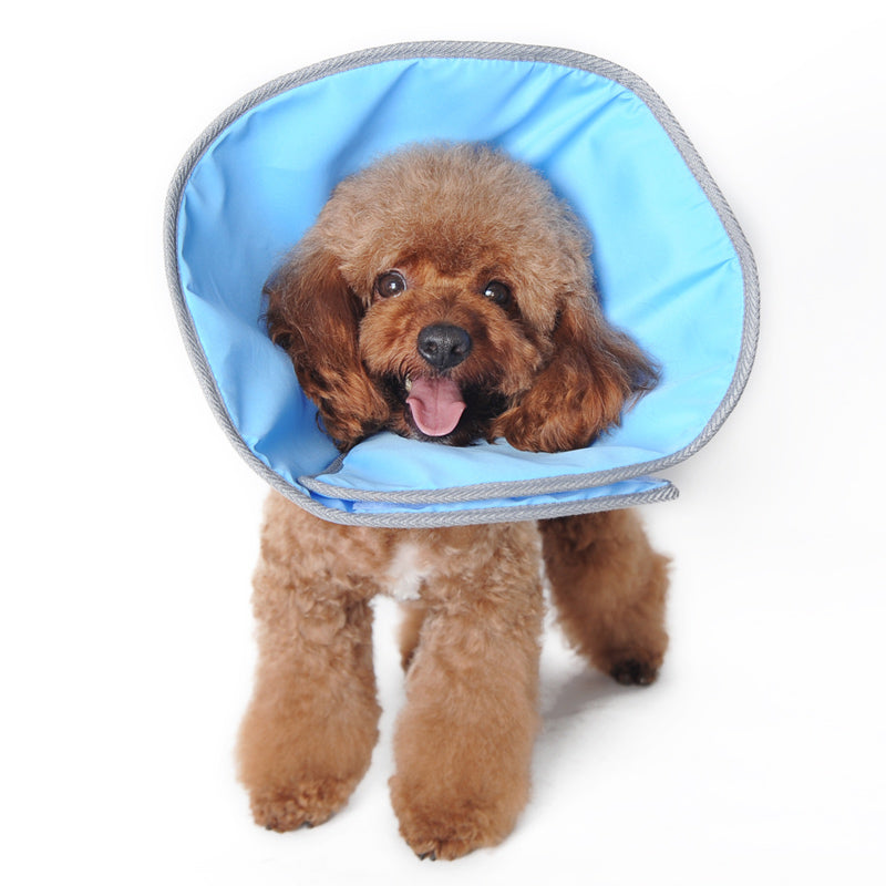 {{product_title}} - Cookies Wagging Friends Boutique