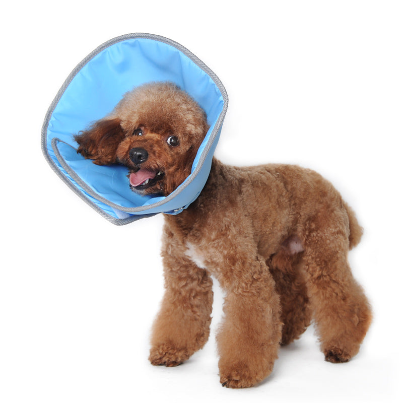 {{product_title}} - Cookies Wagging Friends Boutique