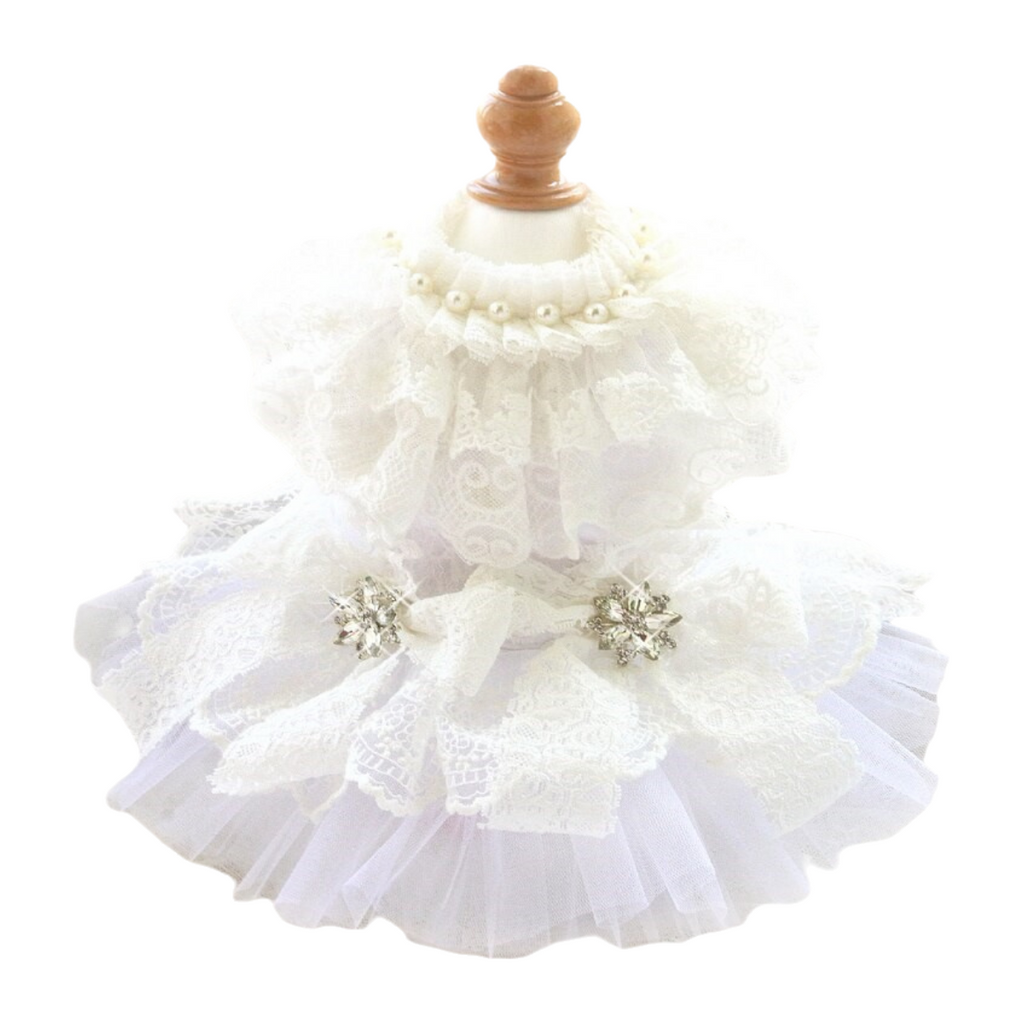 {{product_title}} - Cookies Wagging Friends Boutique