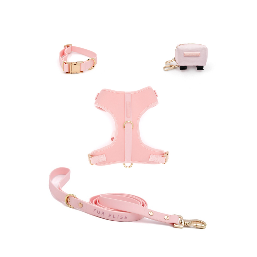 {{product_title}} - Cookies Wagging Friends Boutique