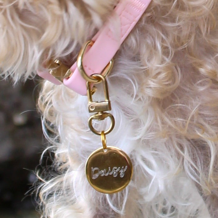 {{product_title}} - Cookies Wagging Friends Boutique