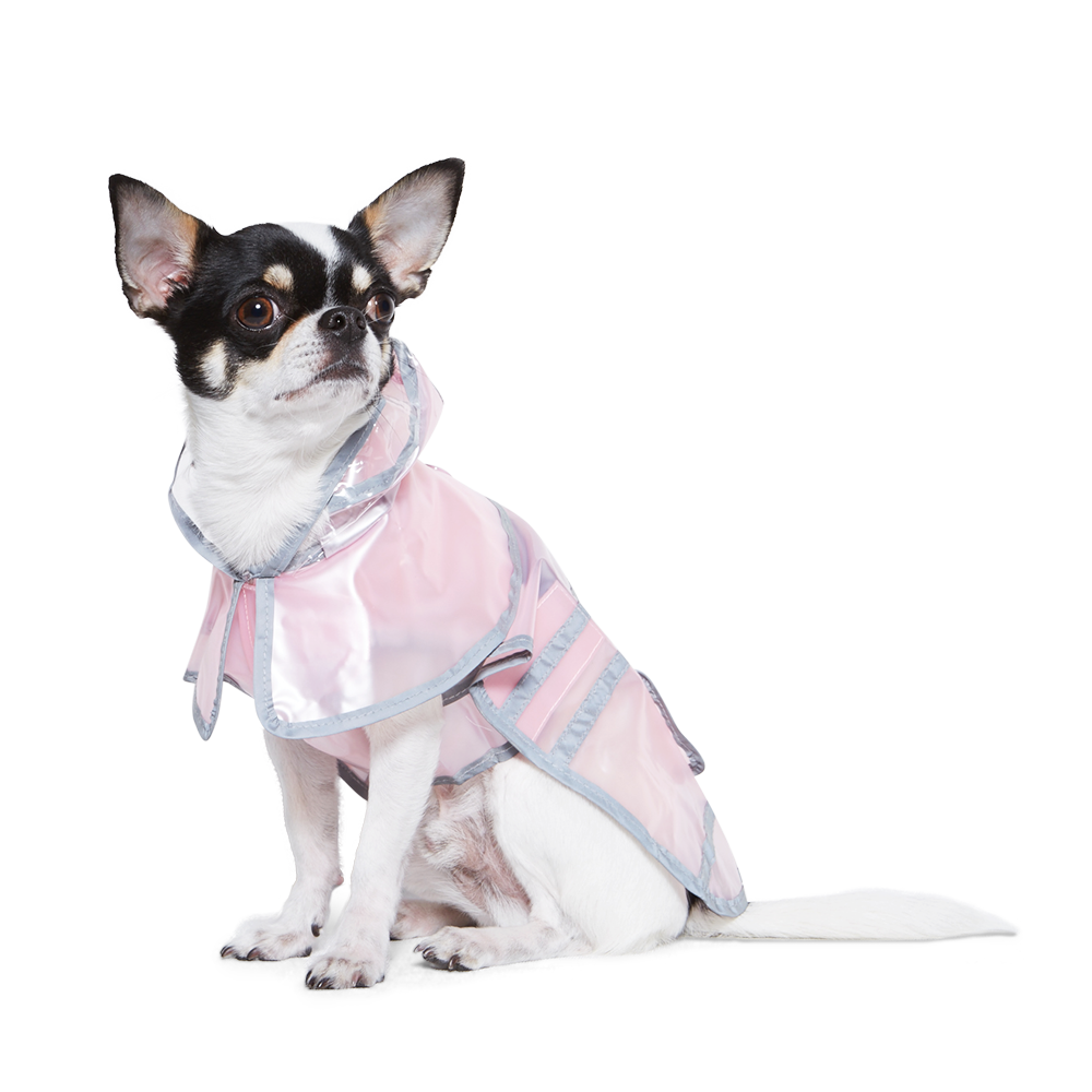 {{product_title}} - Cookies Wagging Friends Boutique