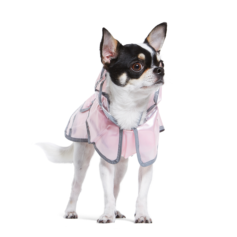 {{product_title}} - Cookies Wagging Friends Boutique