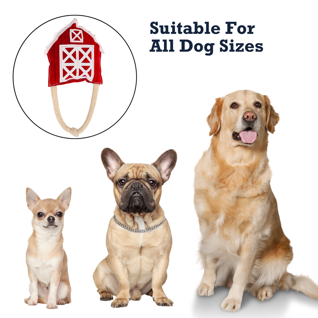 {{product_title}} - Cookies Wagging Friends Boutique