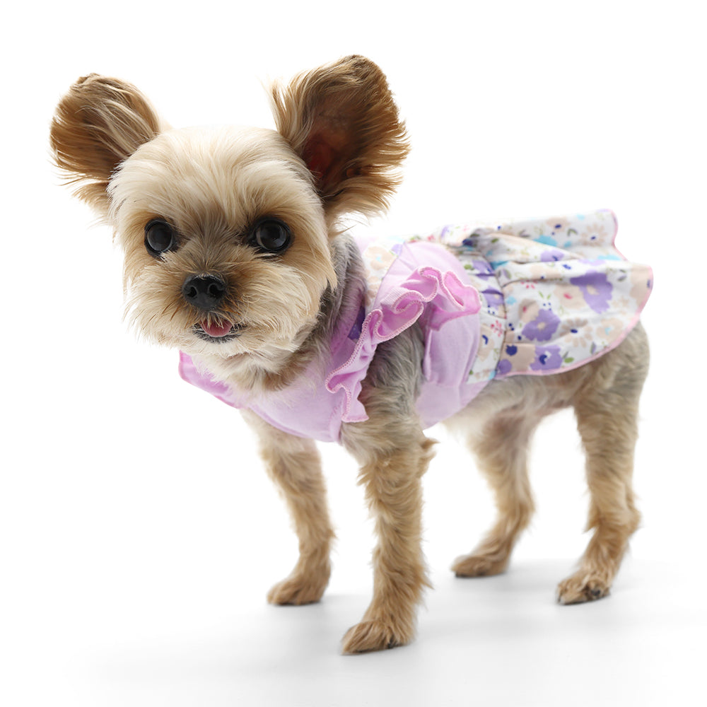 {{product_title}} - Cookies Wagging Friends Boutique
