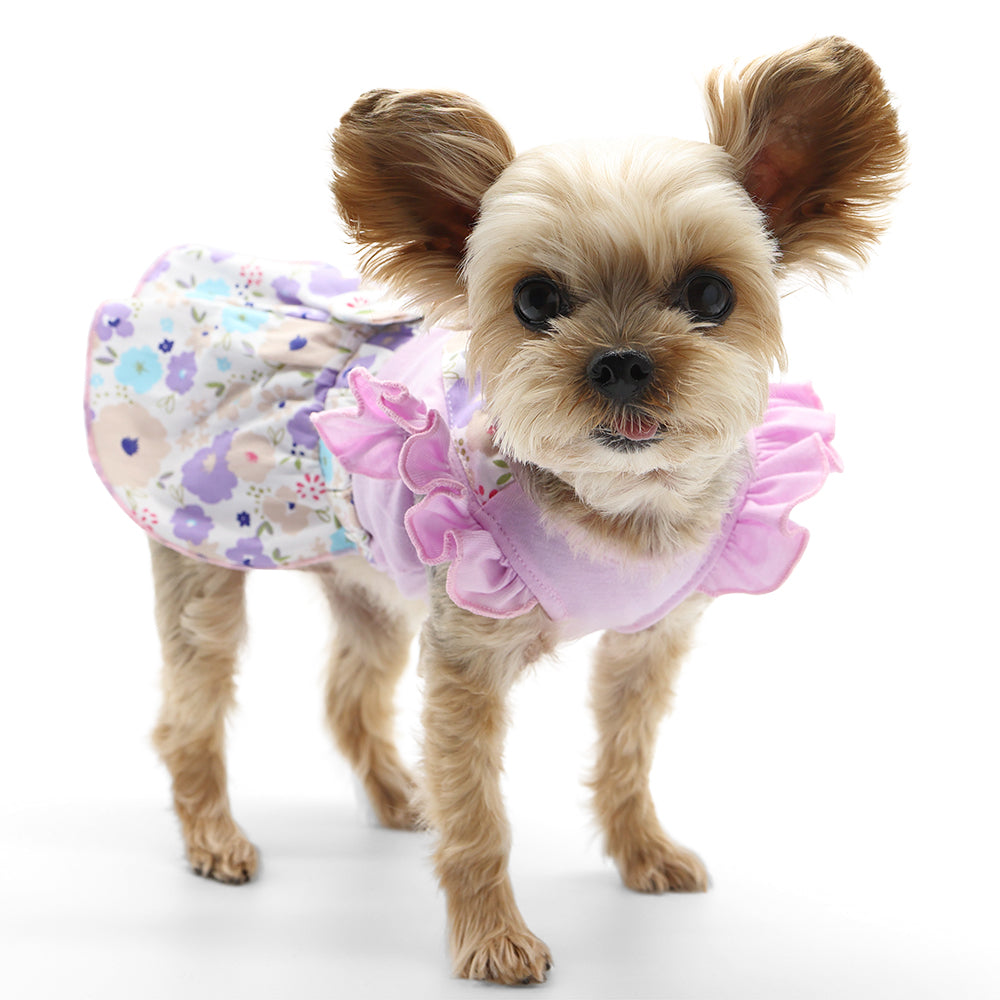 {{product_title}} - Cookies Wagging Friends Boutique