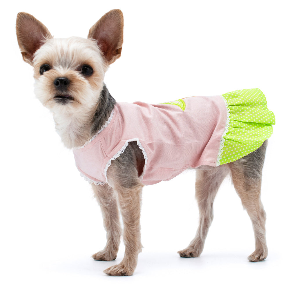 {{product_title}} - Cookies Wagging Friends Boutique