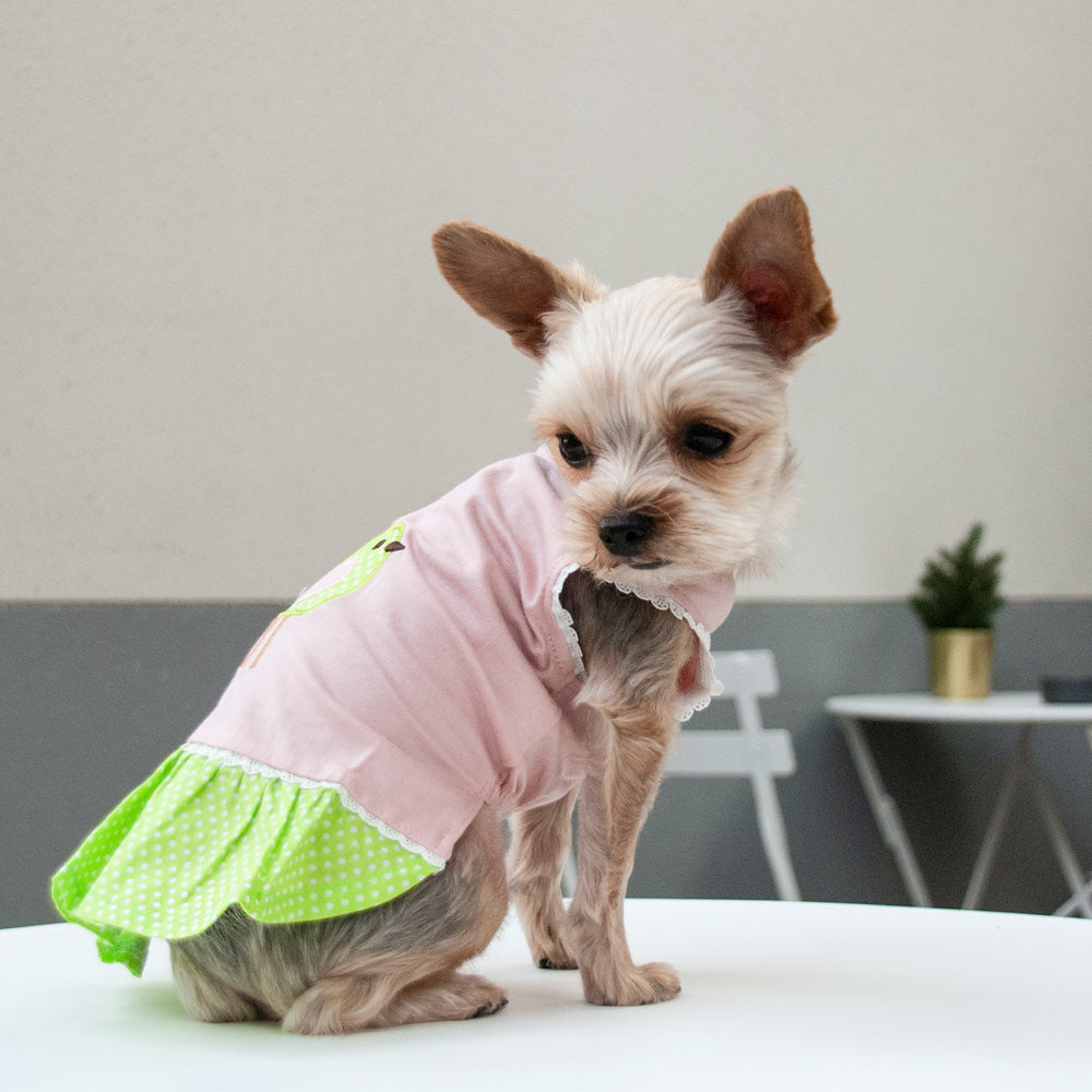 {{product_title}} - Cookies Wagging Friends Boutique