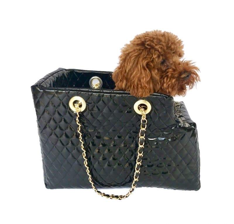 {{product_title}} - Cookies Wagging Friends Boutique