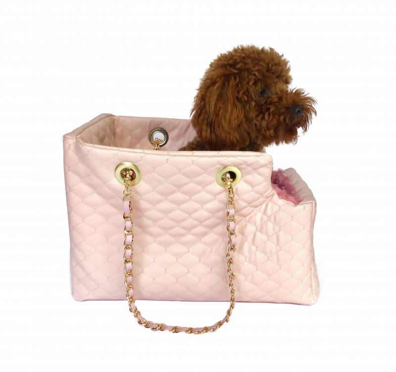 {{product_title}} - Cookies Wagging Friends Boutique