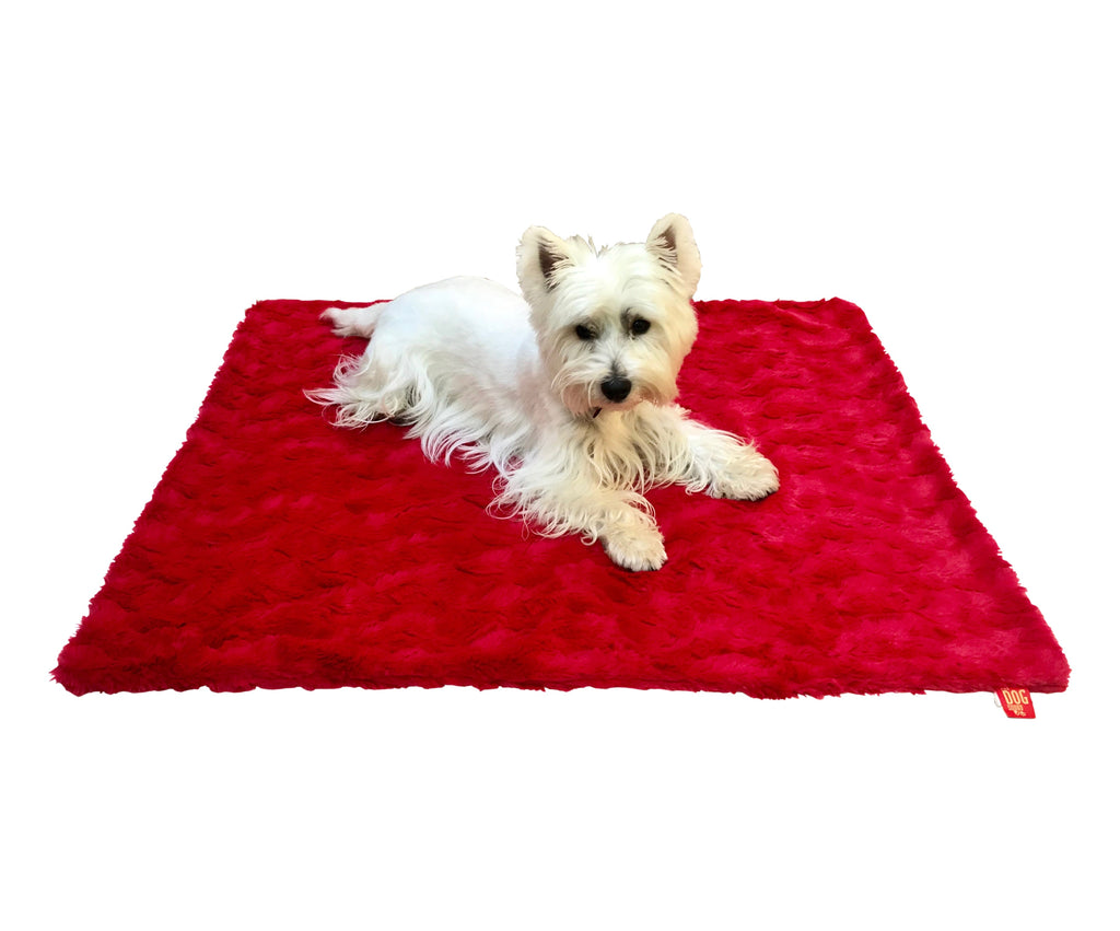 {{product_title}} - Cookies Wagging Friends Boutique