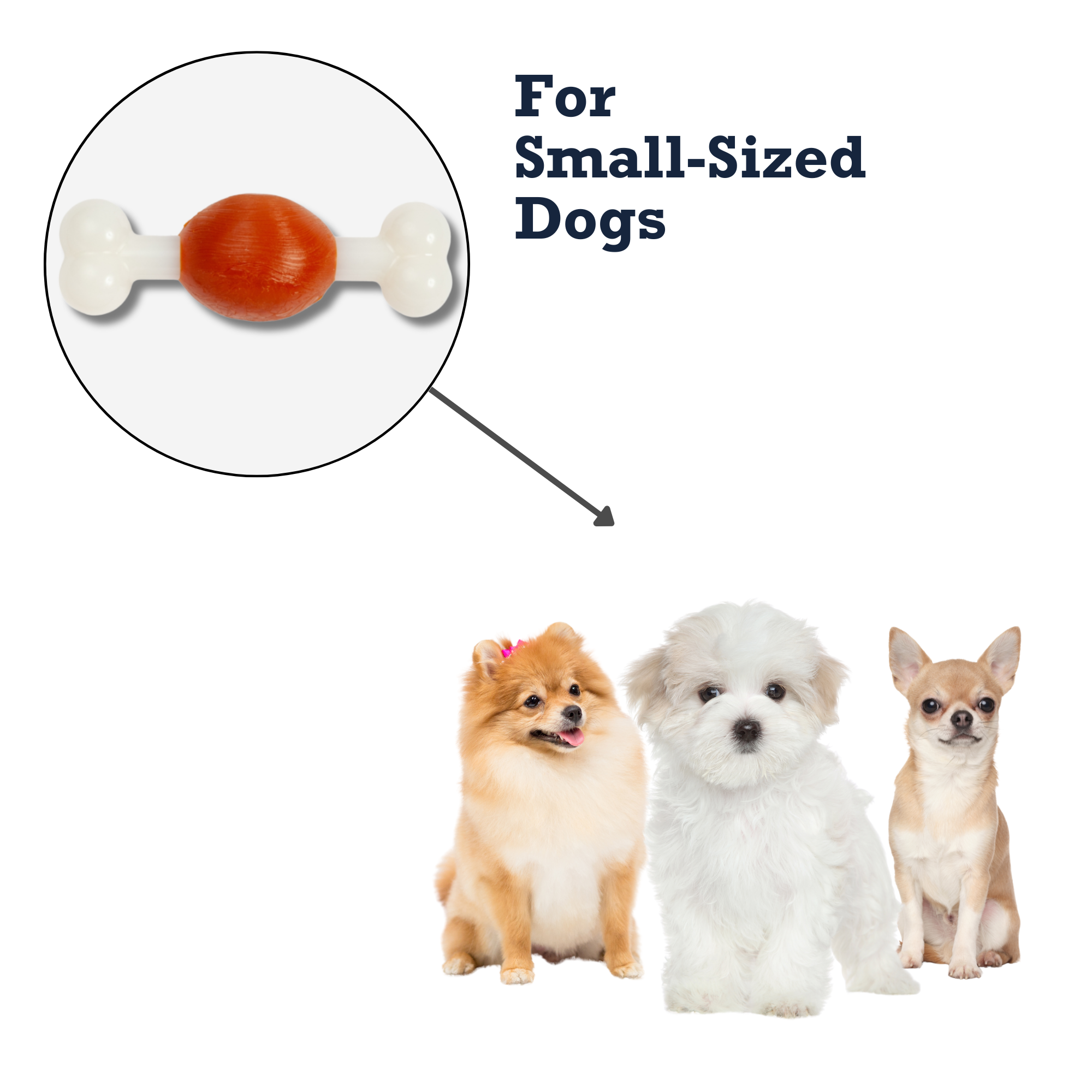 {{product_title}} - Cookies Wagging Friends Boutique