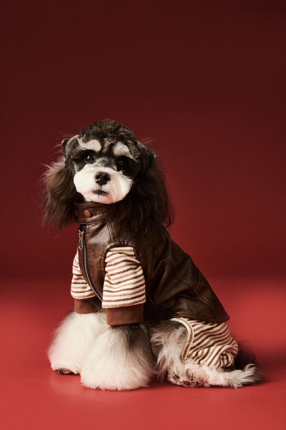{{product_title}} - Cookies Wagging Friends Boutique