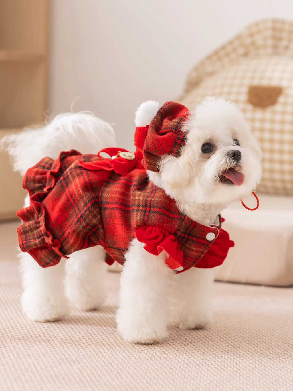 {{product_title}} - Cookies Wagging Friends Boutique