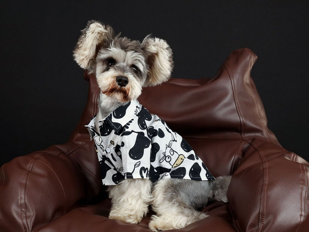 {{product_title}} - Cookies Wagging Friends Boutique